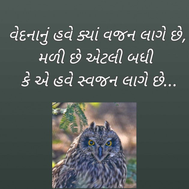 Gujarati Blog by Bhavna Bhatt : 111971290