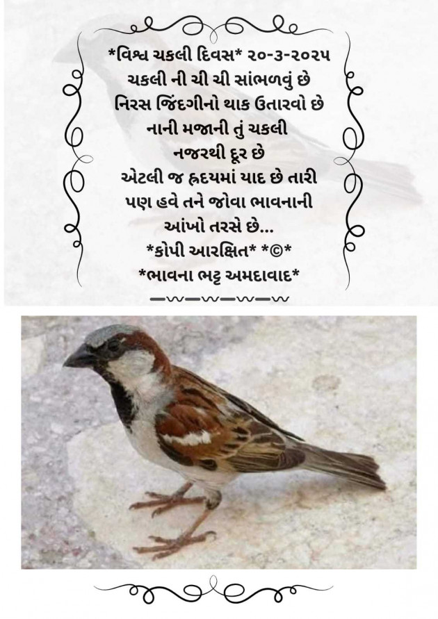 Gujarati Blog by Bhavna Bhatt : 111972274