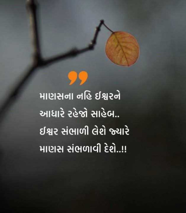 Gujarati Motivational by Manish Patel : 111972382
