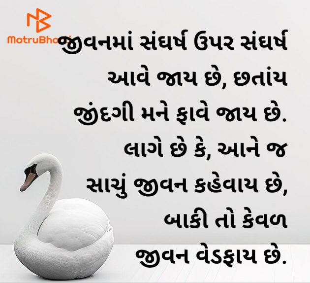 Gujarati Quotes by Shailesh Joshi : 111972887