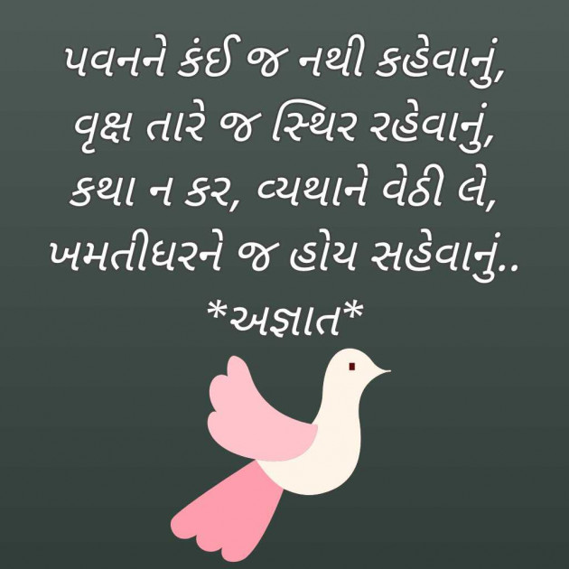 Gujarati Blog by Bhavna Bhatt : 111973380