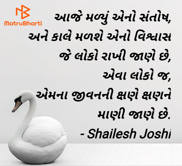 Gujarati Thought by Shailesh Joshi : 111973483