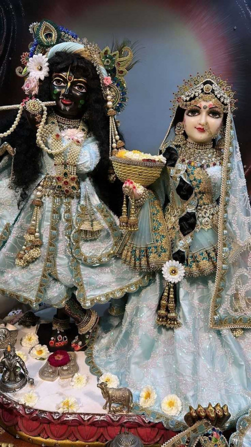 Post by pooja on 07-Apr-2025 04:09am