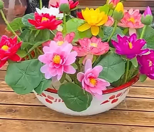 Post by DrAnamika on 08-Apr-2025 09:10am