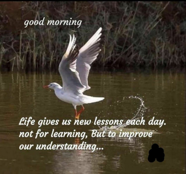 English Motivational by Dr. Bhairavsinh Raol : 111974307