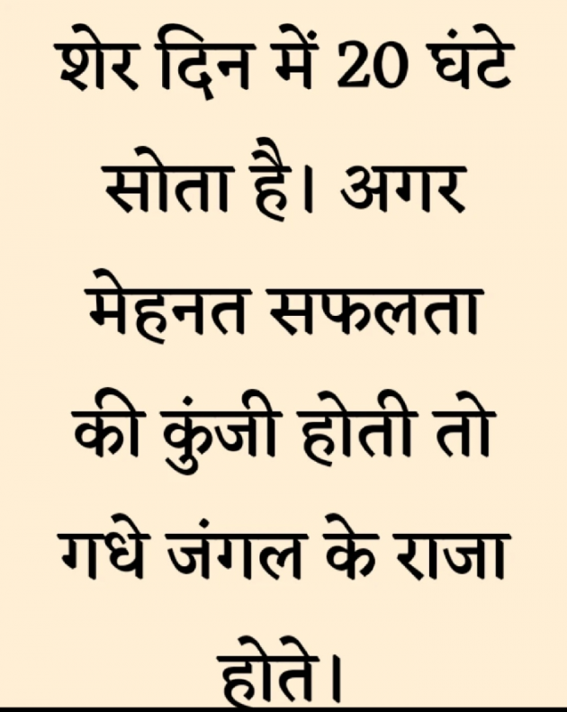 Gujarati Thought by Gautam Patel : 111974381