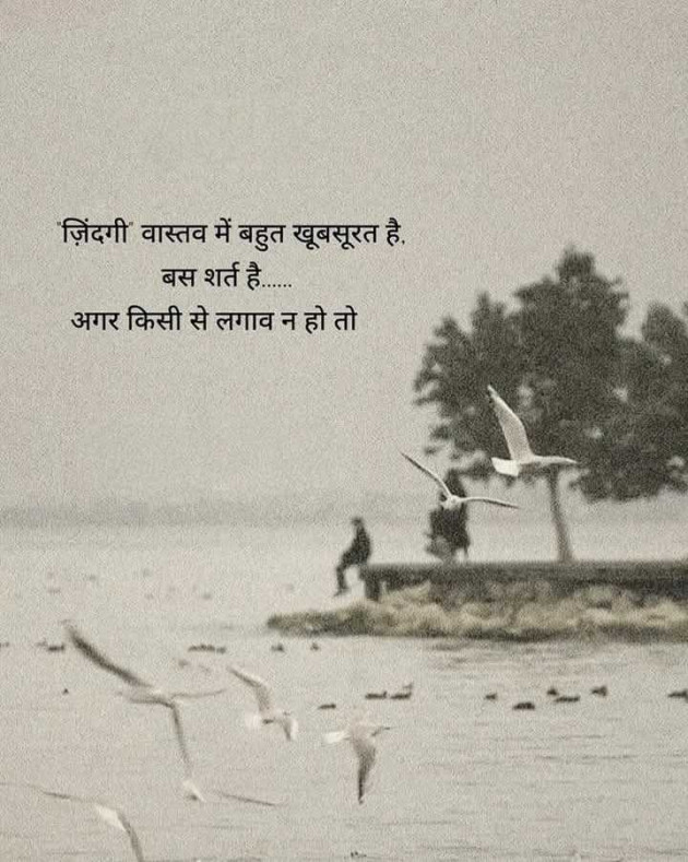 Gujarati Motivational by Manish Patel : 111974444