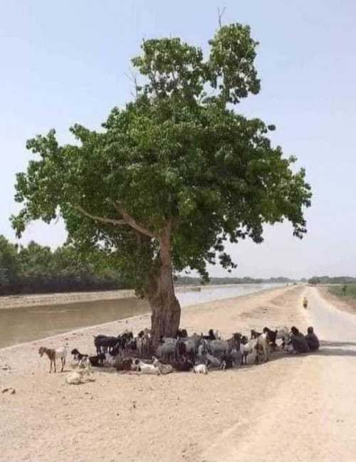 Post by Manoj kumar shukla on 09-Apr-2025 04:06pm