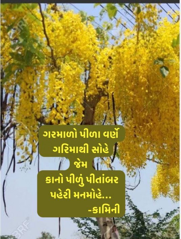 Gujarati Poem by Kamini Shah : 111974640