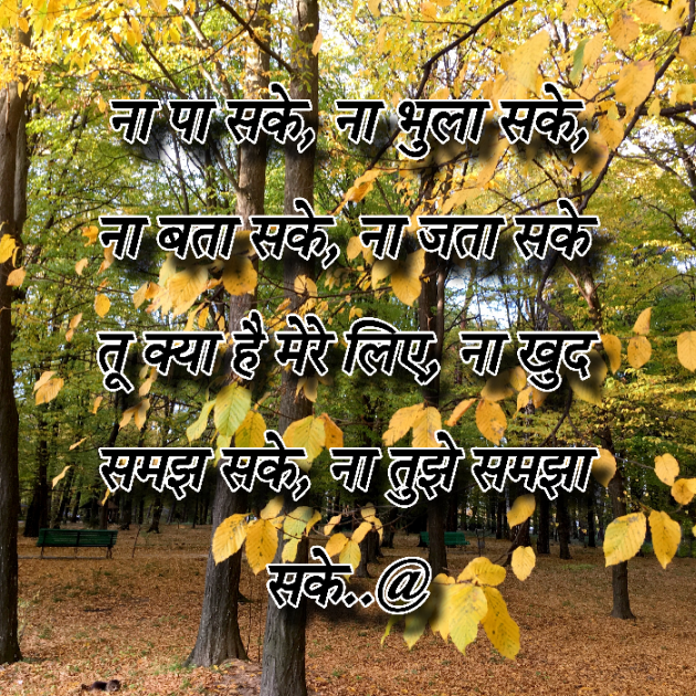 Hindi Shayri by Abbas khan : 111974649