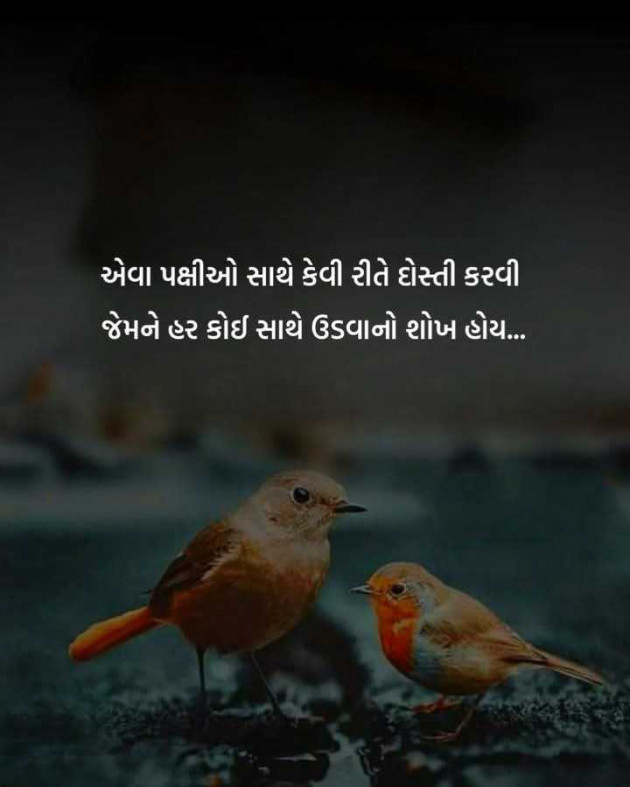 Gujarati Motivational by Manish Patel : 111974713