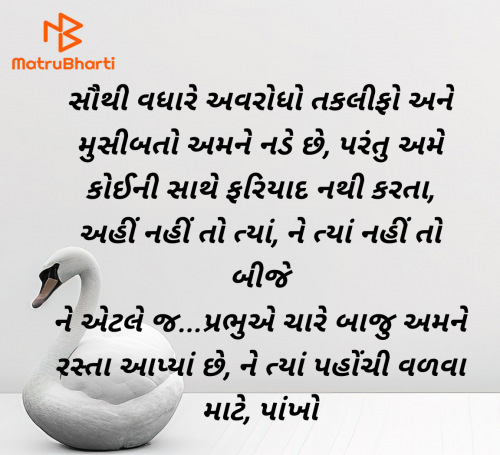Post by Shailesh Joshi on 13-Apr-2025 10:45am