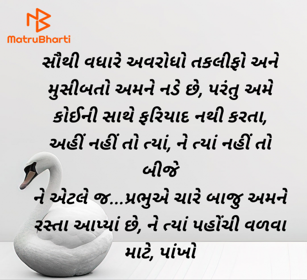 Gujarati Thought by Shailesh Joshi : 111974996