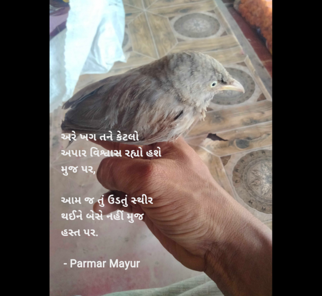 Gujarati Poem by Parmar Mayur : 111975090