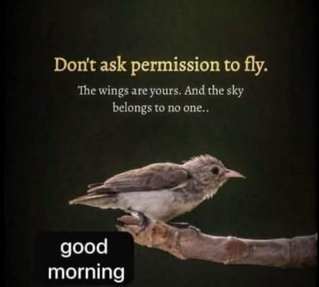 English Motivational by Dr. Bhairavsinh Raol : 111975093