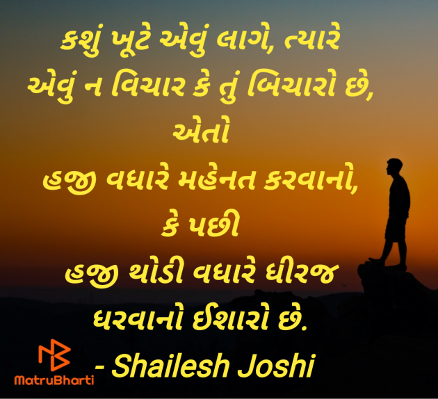 Gujarati Thought by Shailesh Joshi : 111975272