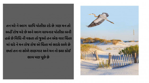 Gujarati Shayri by Ashish Rao : 111975321