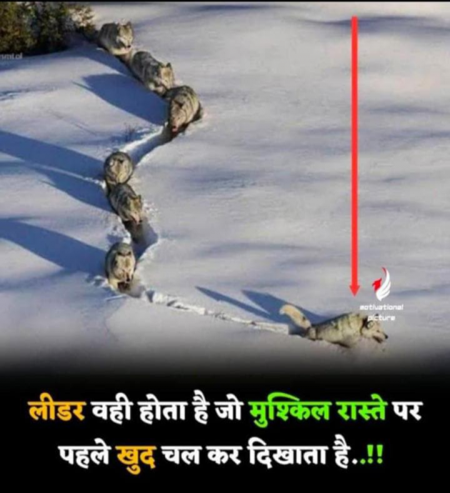 Gujarati Whatsapp-Status by Mr king : 111975334