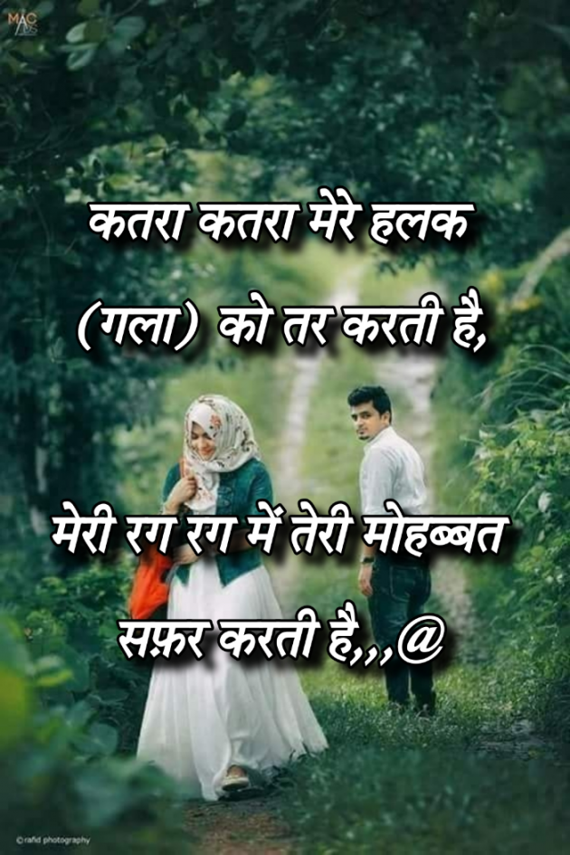 Gujarati Shayri by Abbas khan : 111975417