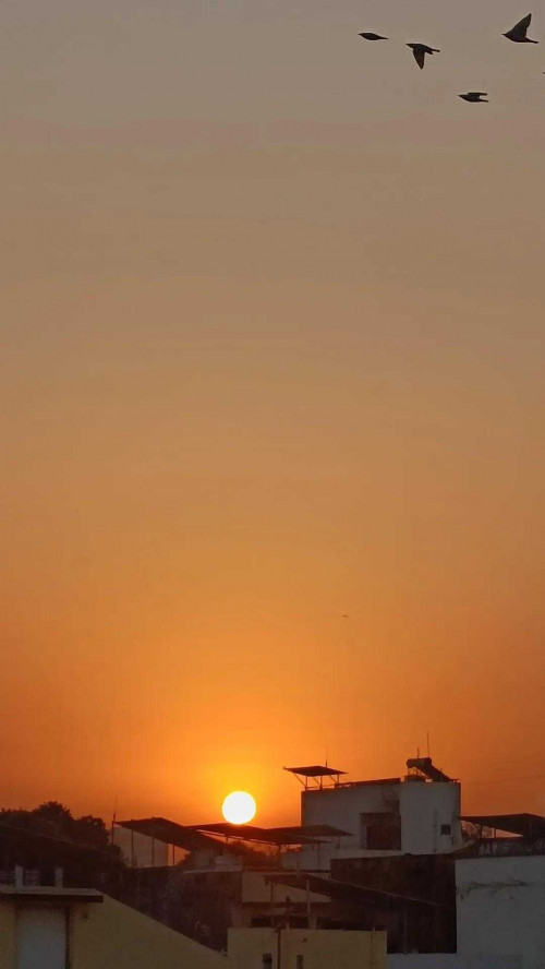 Post by वात्सल्य on 17-Apr-2025 06:30am