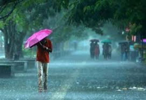 Post by kattupaya s on 19-Apr-2025 07:04pm