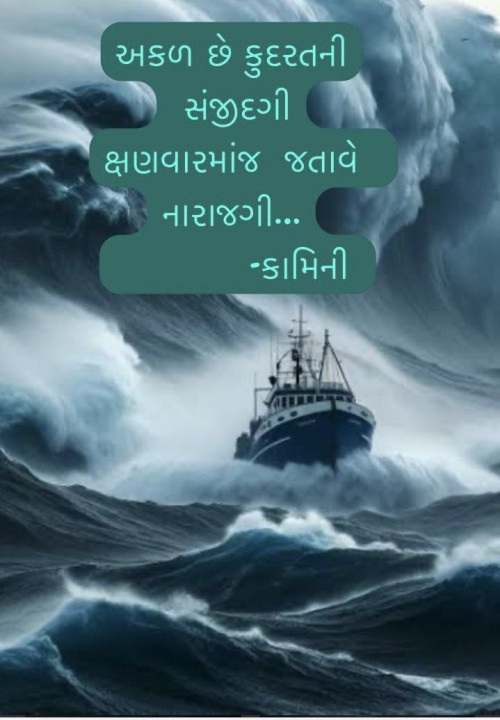 Post by Kamini Shah on 20-Apr-2025 10:40am