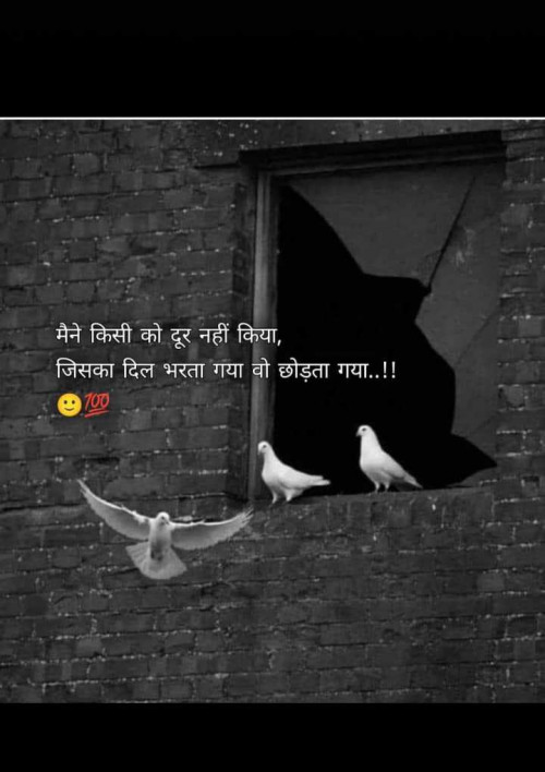 Post by Falguni Dost on 20-Apr-2025 11:10am
