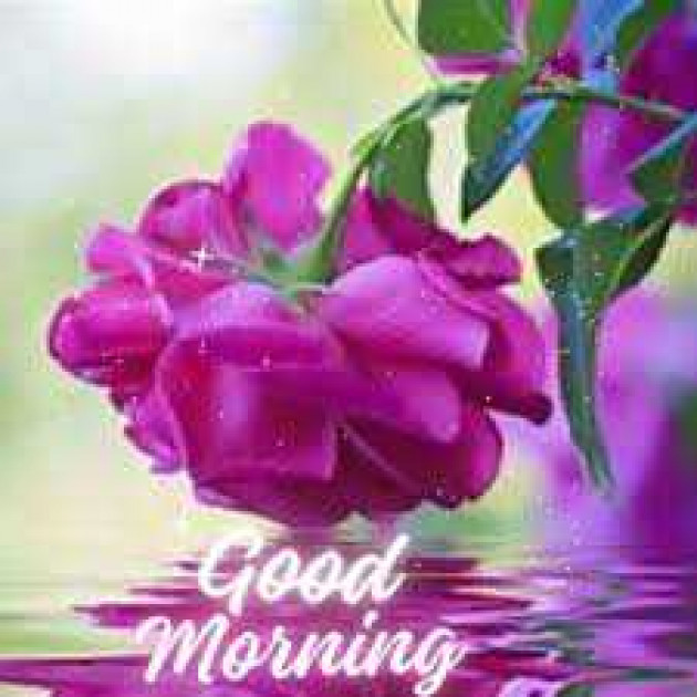 English Quotes by kattupaya s : 111976122