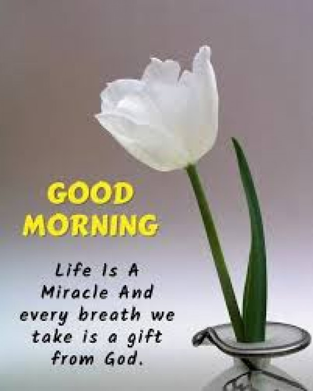 English Good Morning by kattupaya s : 111976325
