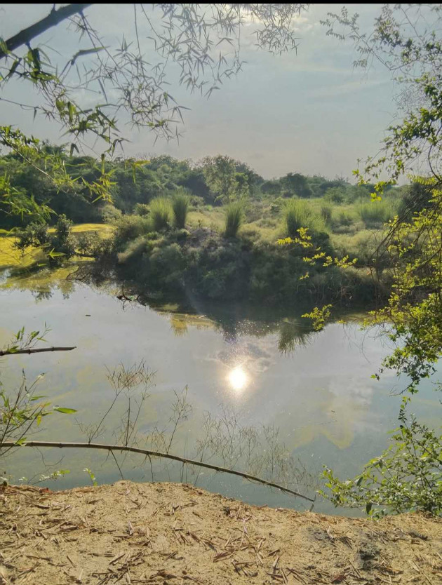Hindi Poem by Pawan Shukla : 111976407