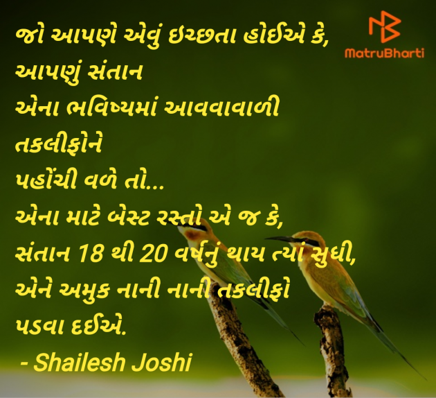 Gujarati Thought by Shailesh Joshi : 111976475