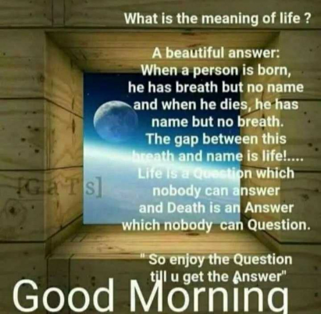 English Good Morning by Yamini : 111976529