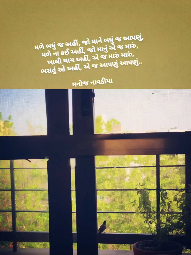 English Quotes by મનોજ નાવડીયા : 111976556