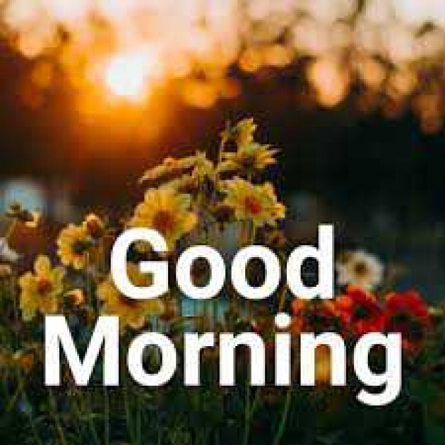 English Good Morning by kattupaya s : 111976673