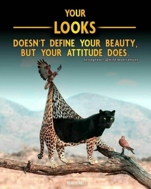 Post by Dr. Bhairavsinh Raol on 27-Apr-2025 11:26am