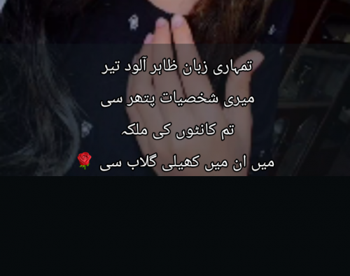 Post by Aisha Diwan on 27-Apr-2025 09:16pm