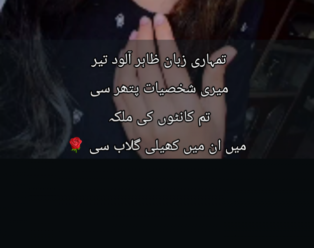 Hindi Shayri by Aisha Diwan : 111976753