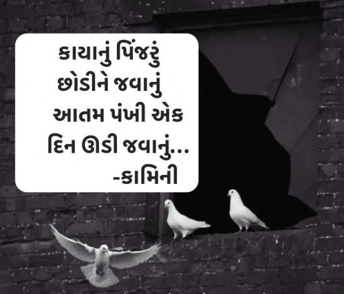 Post by Kamini Shah on 28-Apr-2025 11:45am