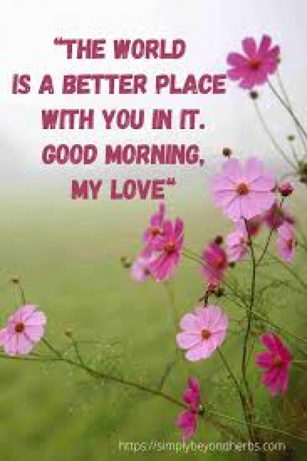 English Good Morning by kattupaya s : 111976895