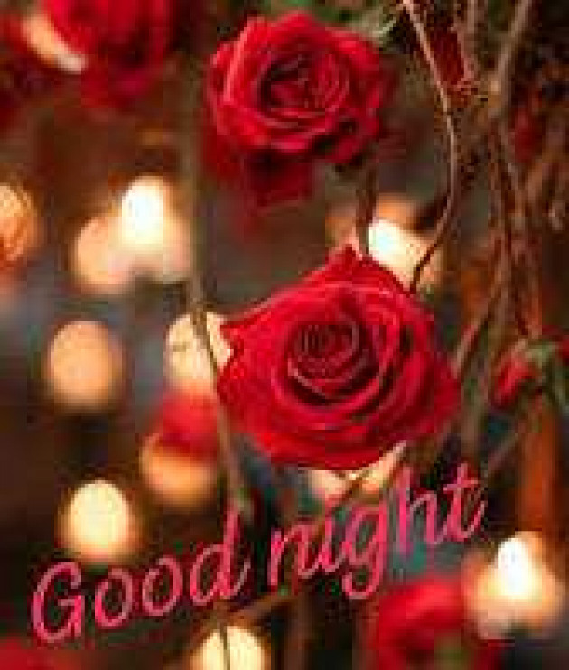 English Good Night by kattupaya s : 111976986