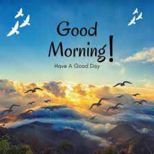 Post by kattupaya s on 30-Apr-2025 08:35am