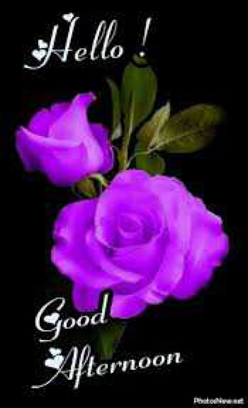 Post by kattupaya s on 30-Apr-2025 11:58am
