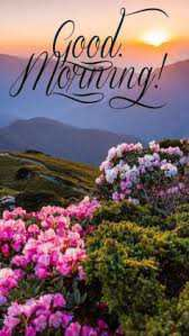 English Good Morning by kattupaya s : 111977134