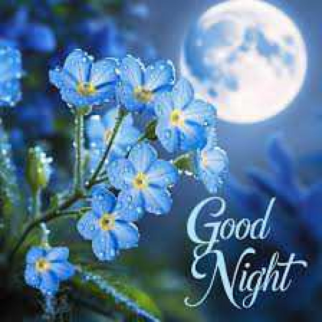 English Good Night by kattupaya s : 111977240