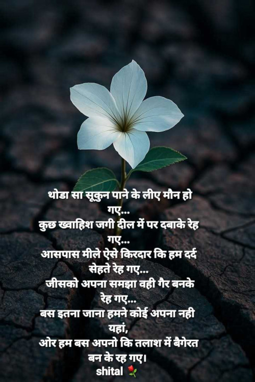Post by Shital on 03-May-2025 01:49pm