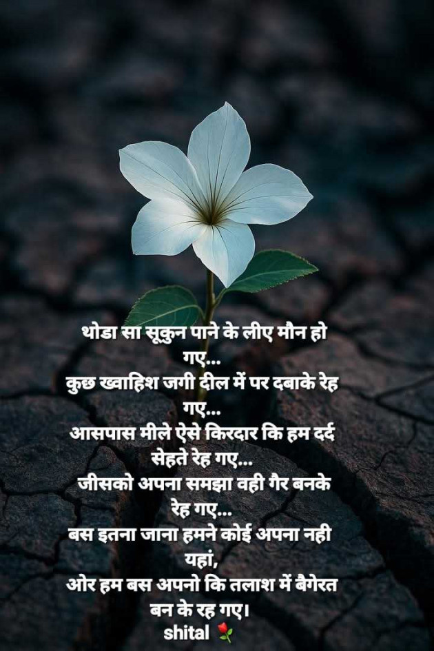 Hindi Shayri by Shital : 111977469