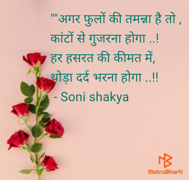 Hindi Blog by Soni shakya : 111977744