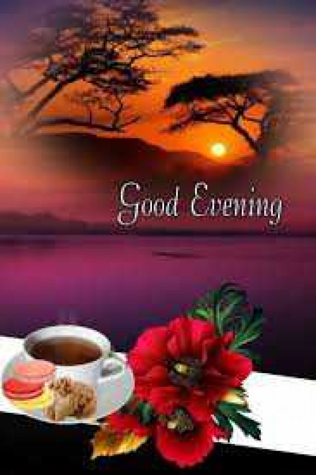 English Good Evening by kattupaya s : 111977772