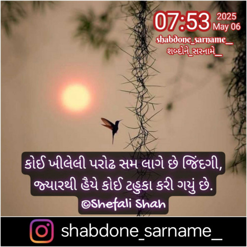 Post by Shefali on 06-May-2025 08:09am