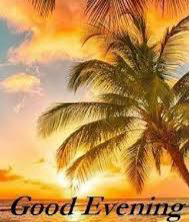 English Good Evening by kattupaya s : 111977895